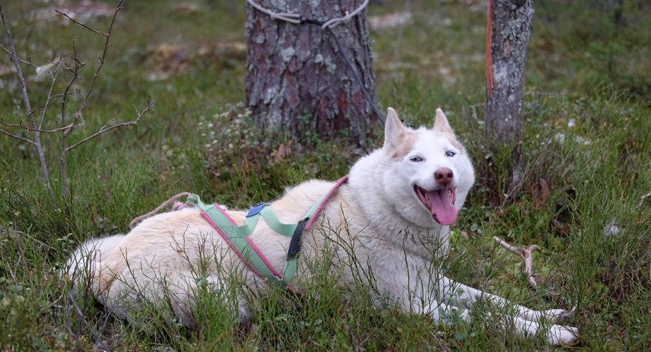 Even uitrusten tijdens de wandeling